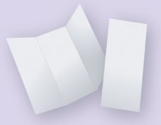 Blank Brochure
