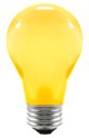 lightbulb